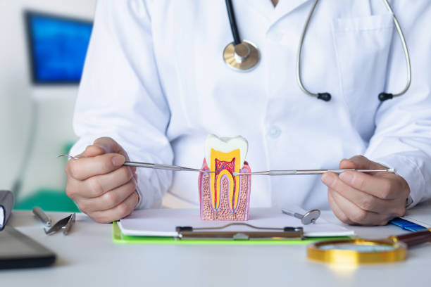 Best Emergency Broken Tooth Repair in Gibson, AR